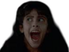 https://image.noelshack.com/fichiers/2025/01/6/1736024793-scream-3.png
