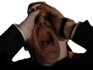 https://image.noelshack.com/fichiers/2025/01/6/1736024802-scream-2.png
