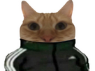 https://image.noelshack.com/fichiers/2025/02/2/1736259544-tt.jpeg