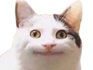 https://image.noelshack.com/fichiers/2025/02/3/1736292111-1641300557-chatsourire-removebg-preview-copie.png