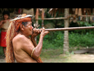 https://image.noelshack.com/fichiers/2025/02/7/1736674303-yahua-blowgun-amazon-iquitos-peru.jpg