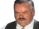 https://image.noelshack.com/fichiers/2025/02/7/1736703547-1485991738-risitas3.png