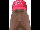 https://image.noelshack.com/minis/2025/03/2/1736866106-44447.png