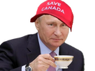 https://image.noelshack.com/minis/2025/03/2/1736879729-poutine-save-canada.png