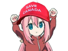 https://image.noelshack.com/fichiers/2025/03/2/1736879779-kcanada.png