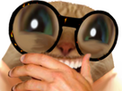 https://image.noelshack.com/fichiers/2025/03/3/1736951447-vf-1.png