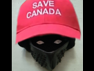 https://image.noelshack.com/minis/2025/03/3/1736954652-47.png