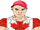 https://image.noelshack.com/fichiers/2025/03/3/1736977514-chudsavecanada.png