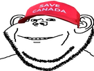https://image.noelshack.com/minis/2025/03/3/1736977519-impish-canada.png