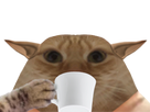 https://image.noelshack.com/fichiers/2025/03/4/1736994769-full-1.png