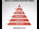 https://image.noelshack.com/fichiers/2025/03/4/1737040709-nutrition-pyramid.png