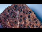 https://image.noelshack.com/fichiers/2025/03/5/1737108970-800px-centrilobular-emphysema-865-lores-2.jpg