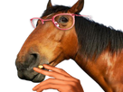 https://image.noelshack.com/fichiers/2025/03/5/1737118023-dj-1.png