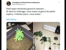 https://image.noelshack.com/fichiers/2025/03/6/1737206497-sans-titre-4-3.jpg
