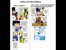 https://image.noelshack.com/fichiers/2025/03/7/1737241772-goku-pro-kidbuu.jpg