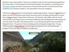 https://image.noelshack.com/fichiers/2025/04/1/1737347449-kingdoml.png
