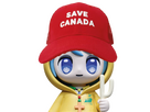 https://image.noelshack.com/minis/2025/04/1/1737397609-luce-save-canada-2.png