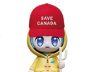 https://image.noelshack.com/minis/2025/04/1/1737397610-luce-save-canada.png