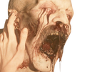 https://image.noelshack.com/fichiers/2025/04/3/1737541703-nosferatu-eggers-4-copie.png