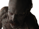 https://image.noelshack.com/fichiers/2025/04/3/1737541703-nosferatu-eggers-5.png