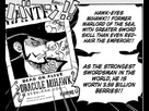 https://image.noelshack.com/fichiers/2025/04/3/1737550034-one-piece-mihawk-wanted-poster-bounty-shanks-swordsman.jpg
