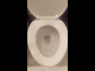 https://image.noelshack.com/fichiers/2025/04/3/1737566679-220px-flush-toilet-bowl.jpg