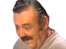 https://image.noelshack.com/fichiers/2025/04/3/1737576213-bhjb.png
