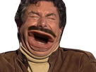 https://image.noelshack.com/fichiers/2025/04/5/1737676042-rthth-3.png