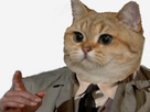 https://image.noelshack.com/fichiers/2025/04/5/1737759207-colombo-cat.jpg