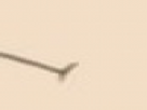 https://image.noelshack.com/fichiers/2025/04/6/1737778585-45-aygr3yxg.png