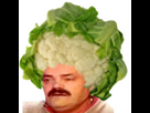 https://image.noelshack.com/minis/2025/05/1/1737933266-choufleur-c6e7a334d70763eeb408849ce0c2c54a.png