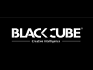 https://image.noelshack.com/fichiers/2025/05/1/1738011323-black-cube.jpg