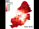 https://image.noelshack.com/fichiers/2025/05/2/1738083820-800px-white-british-birmingham-2021-distribution.png