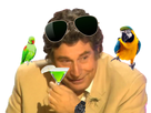https://image.noelshack.com/fichiers/2025/05/3/1738132837-000quintoiseau.png