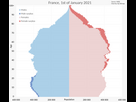 https://image.noelshack.com/fichiers/2025/05/4/1738265699-france-population-pyramid-svg.png