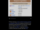 https://image.noelshack.com/fichiers/2025/05/7/1738458230-mag.jpg