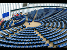 https://image.noelshack.com/fichiers/2025/05/7/1738464216-what-is-the-european-parliament.png