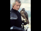 https://image.noelshack.com/fichiers/2025/06/1/1738607475-navarre-ladyhawke.png