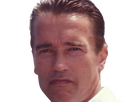 https://image.noelshack.com/fichiers/2025/06/2/1738628677-arnswa-25.png