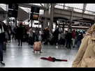 https://image.noelshack.com/fichiers/2025/06/2/1738663884-gi7lbaowmaaikii.jpg