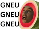 https://image.noelshack.com/fichiers/2025/06/3/1738768656-gneu-gneu-gneu-pasteque.png