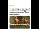 https://www.noelshack.com/2025-06-7-1739085203-img-5973.jpeg