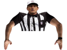 https://image.noelshack.com/fichiers/2025/07/1/1739142904-pas-touchdown.png