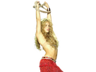 https://image.noelshack.com/fichiers/2025/07/1/1739195231-shakira-shakira.png