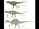 https://image.noelshack.com/fichiers/2025/07/1/1739202829-giganotosaurus-size-jpg-927b8bf1024268bc28141b02e600d1b6.jpg