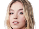 https://image.noelshack.com/fichiers/2025/07/5/1739550830-pn-sidney-sweeney-15.png
