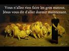 https://image.noelshack.com/fichiers/2025/07/6/1739635479-jesuslions.png