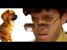 https://image.noelshack.com/fichiers/2025/08/1/1739802076-chien2.jpg