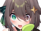 https://image.noelshack.com/fichiers/2025/08/1/1739833080-meica05.png