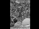 https://image.noelshack.com/fichiers/2025/08/2/1739869562-berserktome41-049.jpg